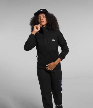 Women's The North Face Canyonlands High Altitude Hoodie Fleece Jacket Black | TORONTO AXYEQC