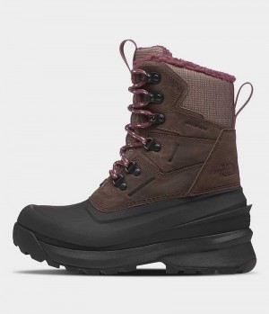 Women's The North Face Chilkat V 400 Waterproof Winter Boots Brown / Black | TORONTO BUAMCE