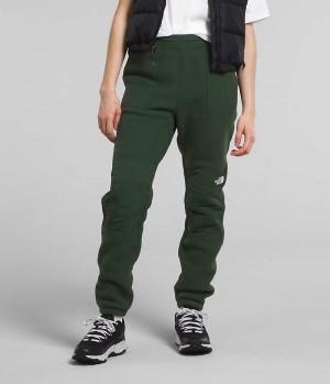 Women's The North Face Denali Pants Green | TORONTO KQWJID