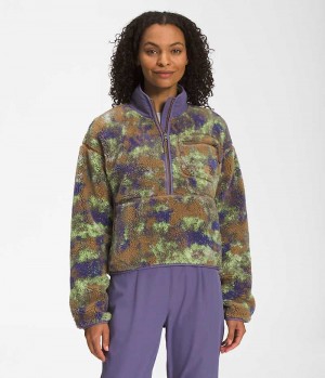 Women's The North Face Extreme Pile Pullover Multicolor | CANADA ZDRJQN