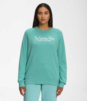 Women's The North Face Graphic Injection Crew Pullover Turquoise | CANADA DLXWBH