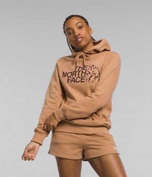 Women's The North Face Half Dome Pullover Hoodie Brown | TORONTO VISGUJ