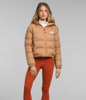 Women's The North Face Hydrenalite™ Down Jacket Brown | OTTAWA OXKJCM