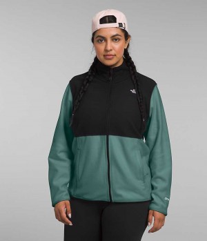 Women's The North Face Plus Alpine Polartec® 100 Fleece Jacket Black / Green | OTTAWA UVYGNT