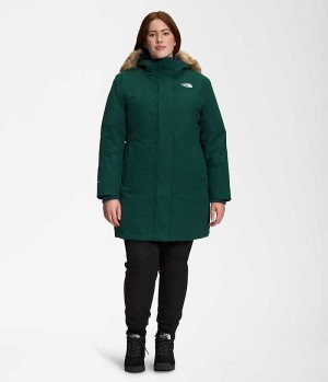 Women's The North Face Plus Arctic Parka Green | OTTAWA PTFURI