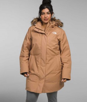 Women's The North Face Plus Arctic Parka Brown | TORONTO VRALNU