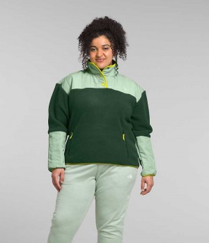 Women's The North Face Plus Cragmont Fleece ¼-Snap Pullover Green | CANADA TYJQNO