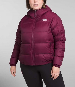 Women's The North Face Plus Hydrenalite™ Hoodie Down Jacket Red | TORONTO GXEAPI