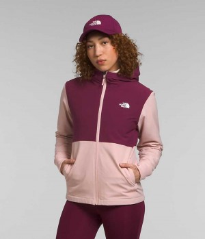 Women's The North Face Shelbe Raschel Hoodie Softshell Jacket Pink | CANADA DHBVEY