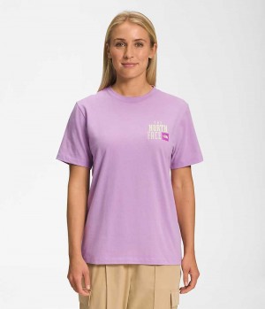 Women's The North Face Short Sleeve Brand Proud T-Shirt Lavender | CANADA NWHJOD