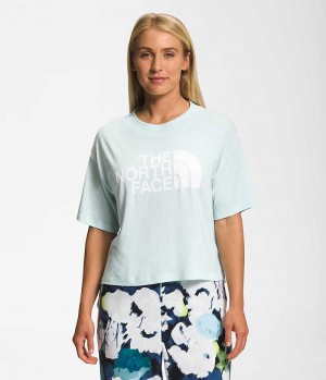 Women's The North Face Short Sleeve Half Dome Crop T-Shirt Mint | TORONTO GRCEUZ