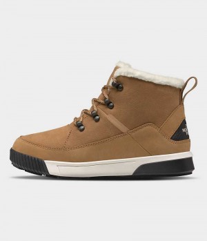 Women's The North Face Sierra Mid Lace Waterproof Winter Boots Brown | CANADA MHOPTI