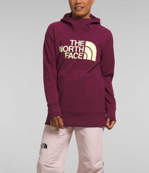 Women's The North Face Tekno Pullover Hoodie Fuchsia | CANADA TQYOFS