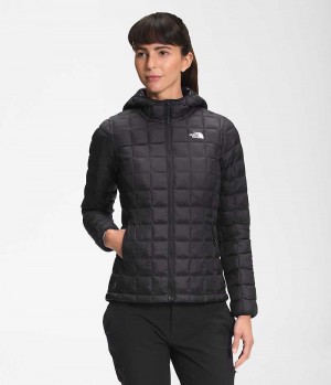 Women's The North Face ThermoBall™ Eco Hoodie 2.0 Down Jacket Black | TORONTO QMJUNX