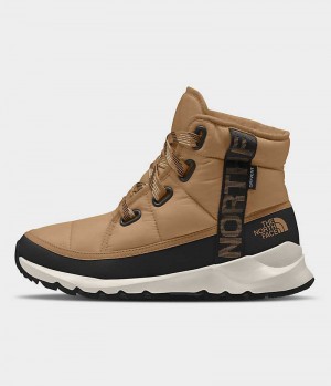 Women's The North Face ThermoBall™ Lace Up Luxe Waterproof Winter Boots Brown | TORONTO YCAFRG