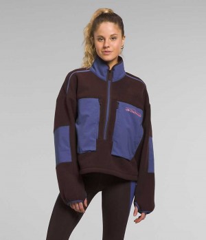 Women's The North Face Trailwear Fantasy Ridge Flash ½-Zip Pullover Brown / Blue | CANADA RUYEBT