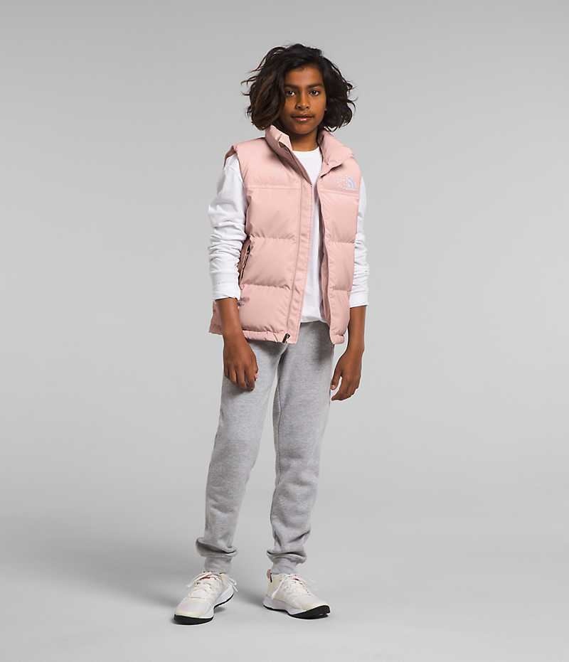 Boys\' The North Face 1996 Retro Nuptse Vest Pink | OTTAWA WRMPSI