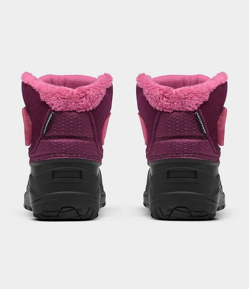 Boys' The North Face Alpenglow II Winter Boots Pink / Black | CANADA JZUAHK