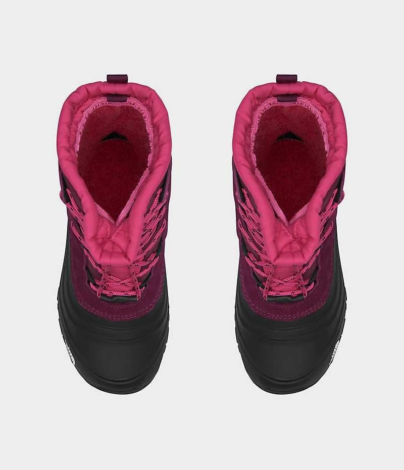 Boys' The North Face Alpenglow V Waterproof Winter Boots Fuchsia / Black | TORONTO DJSVQB