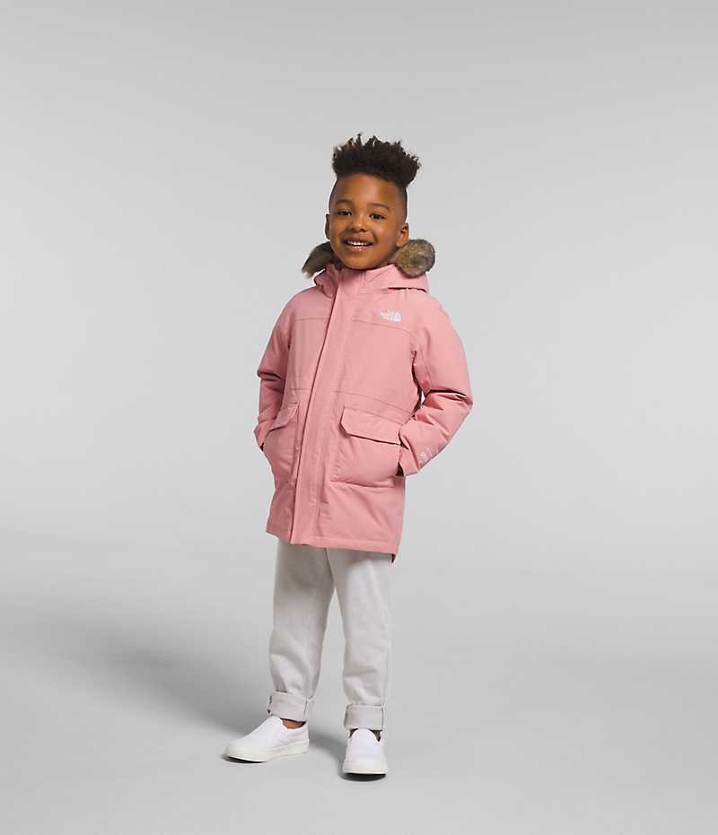 Boys\' The North Face Arctic Parka Rose | TORONTO MRAQGS