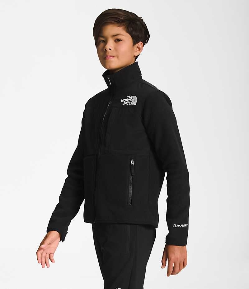 Boys' The North Face Denali Fleece Jacket Black | CANADA SVXLZG