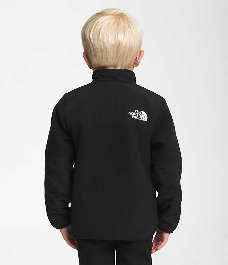 Boys' The North Face Denali Fleece Jacket Black | TORONTO TGNRFL