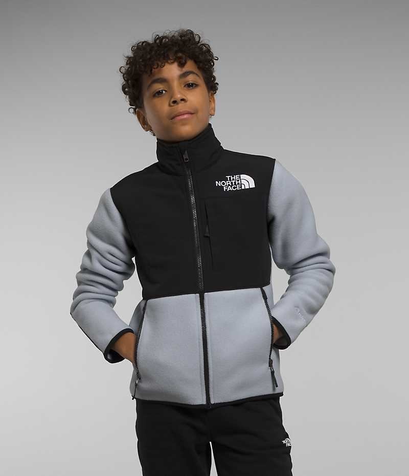 Boys\' The North Face Denali Fleece Jacket Black / Grey | TORONTO YJZMGT