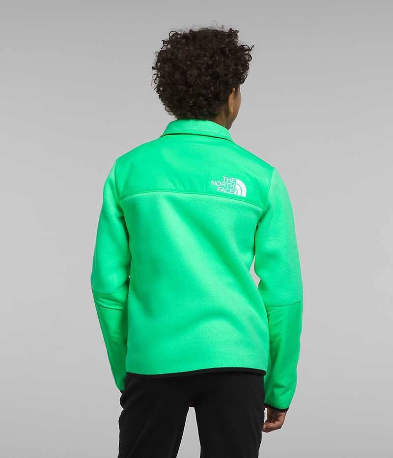 Boys' The North Face Denali Fleece Jacket Green | OTTAWA EOSPQB