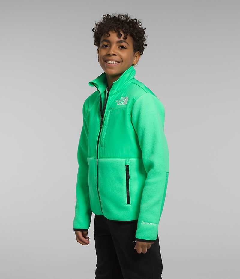 Boys' The North Face Denali Fleece Jacket Green | OTTAWA EOSPQB