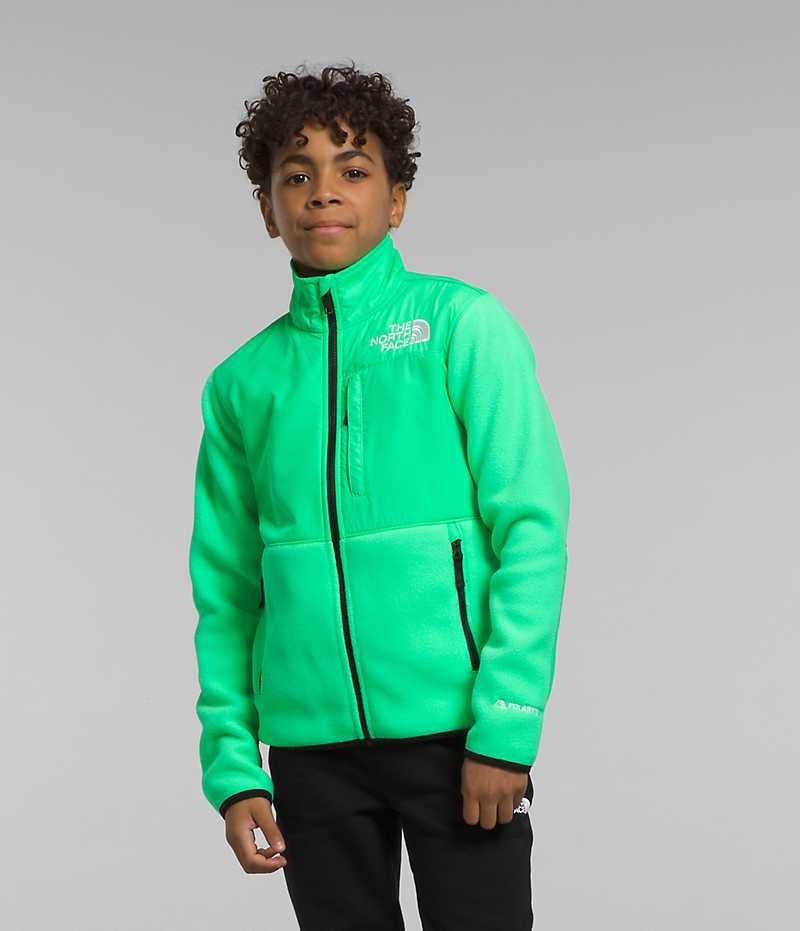 Boys\' The North Face Denali Fleece Jacket Green | OTTAWA EOSPQB