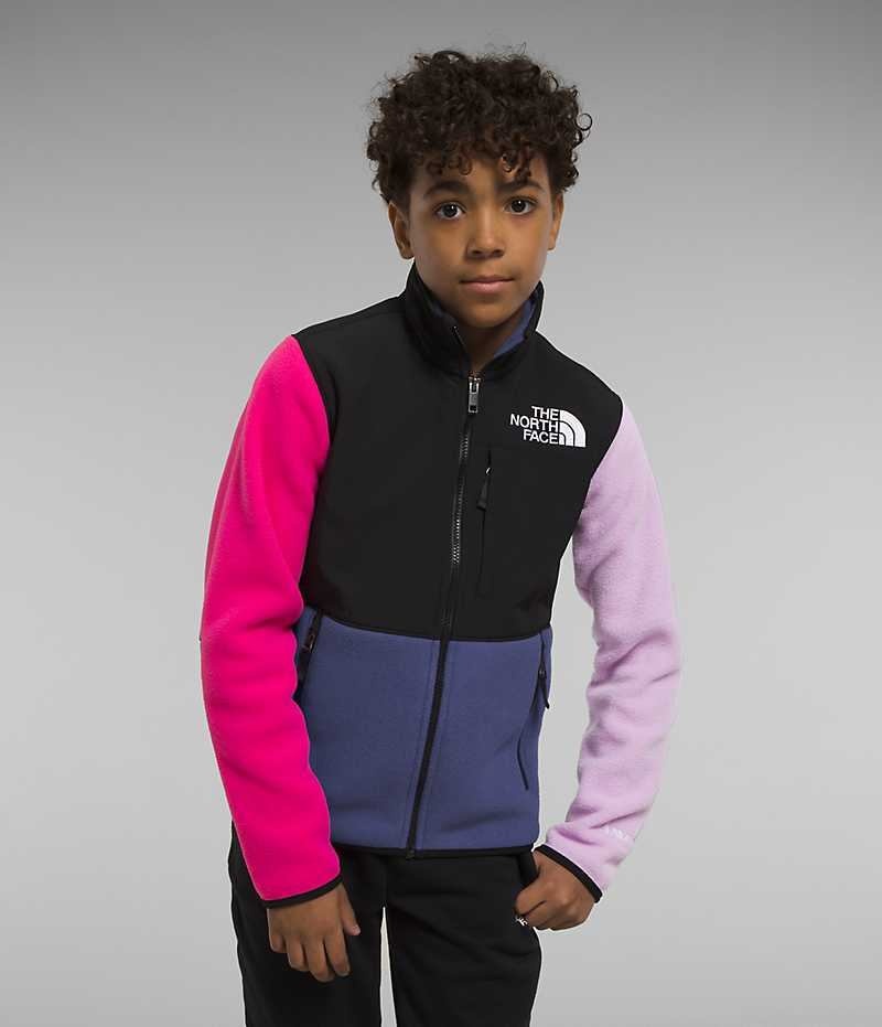 Boys\' The North Face Denali Fleece Jacket Multicolor | TORONTO IVDWHZ