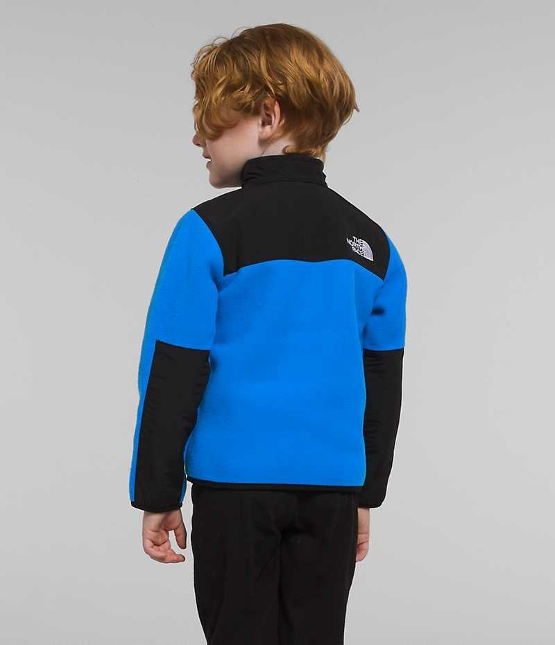 Boys' The North Face Denali Fleece Jacket Blue | OTTAWA INXJYE