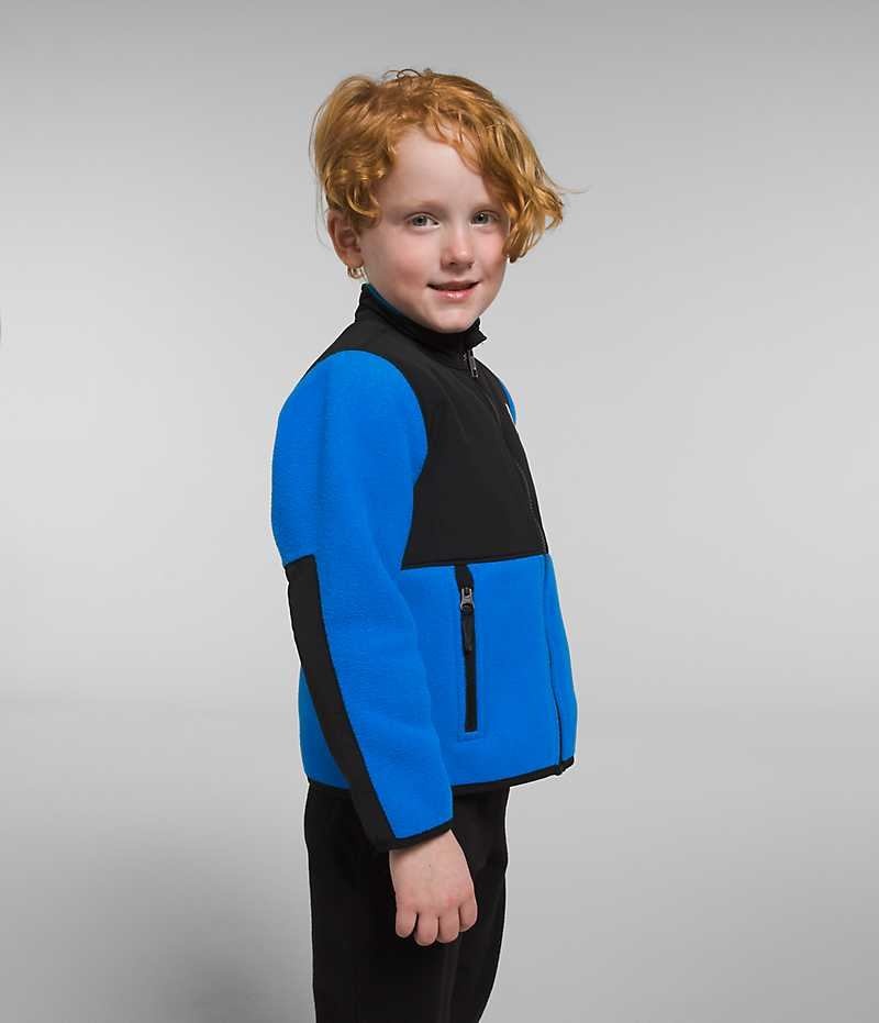 Boys' The North Face Denali Fleece Jacket Blue | OTTAWA INXJYE