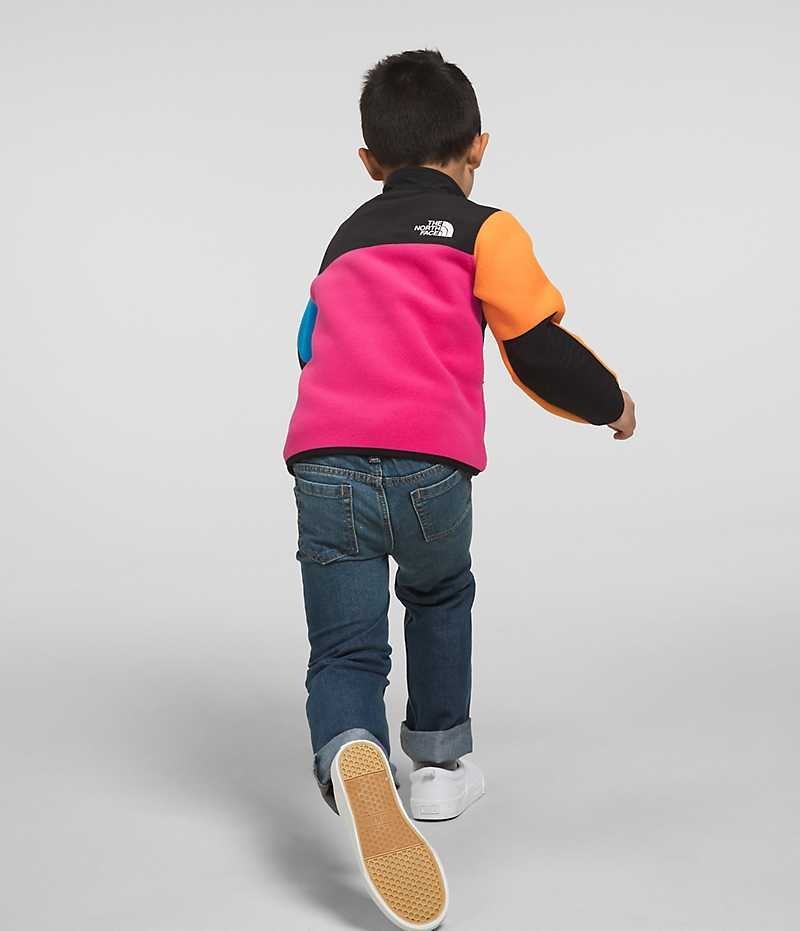 Boys' The North Face Denali Fleece Jacket Multicolor | CANADA UACHVM