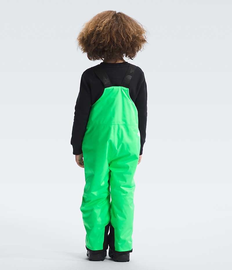 Boys' The North Face Freedom Insulated Bib Pants Green | OTTAWA JQWLKS