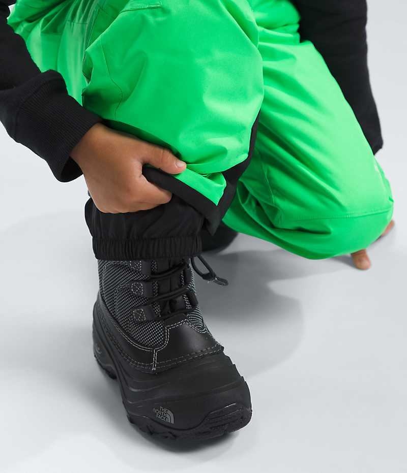 Boys' The North Face Freedom Insulated Bib Pants Green | OTTAWA JQWLKS