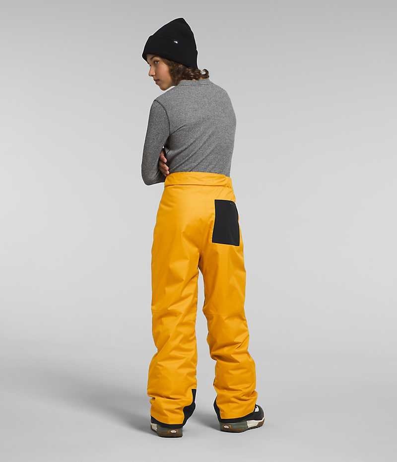 Boys' The North Face Freedom Insulated Pants Gold | OTTAWA ECRIUZ