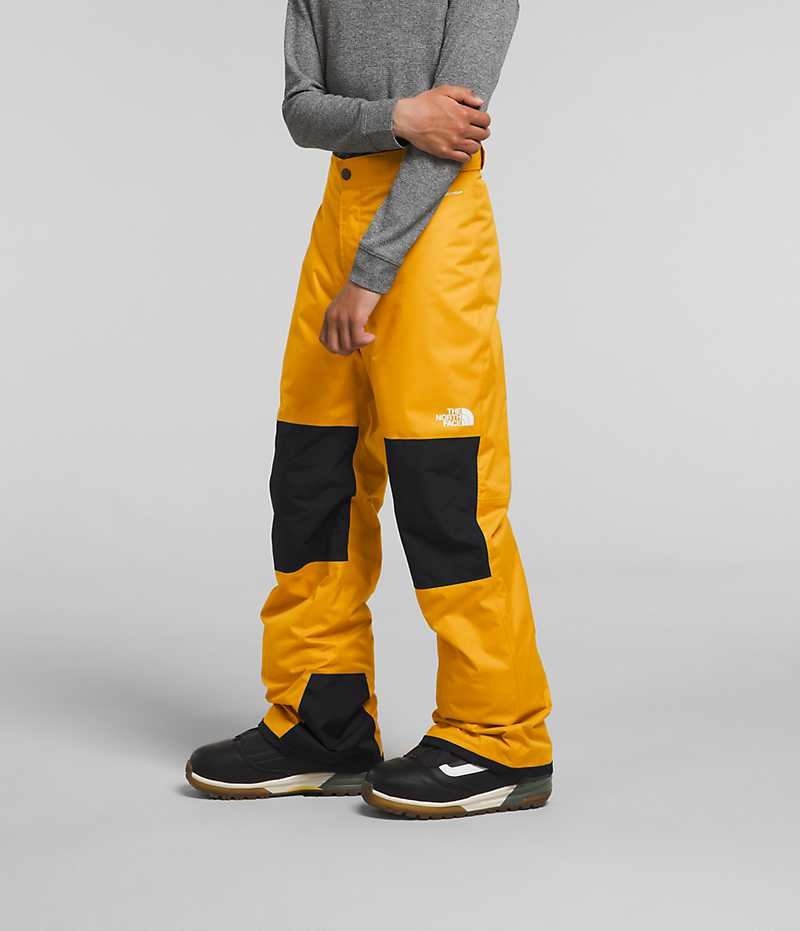 Boys' The North Face Freedom Insulated Pants Gold | OTTAWA ECRIUZ