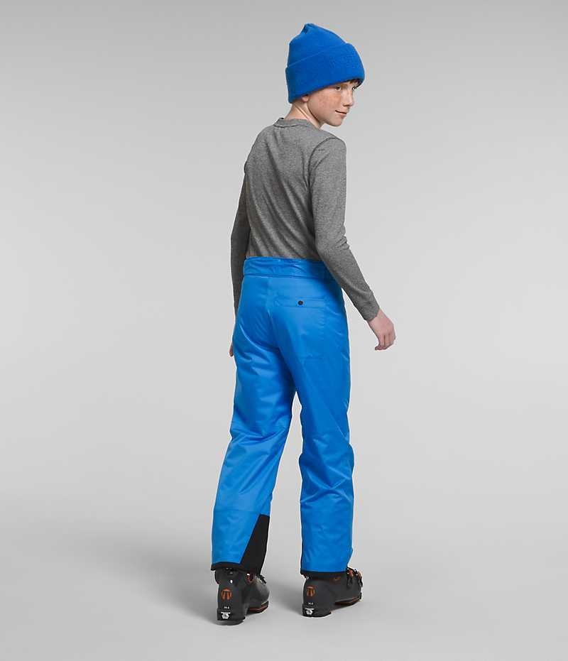 Boys' The North Face Freedom Insulated Pants Blue | CANADA WRBUCE