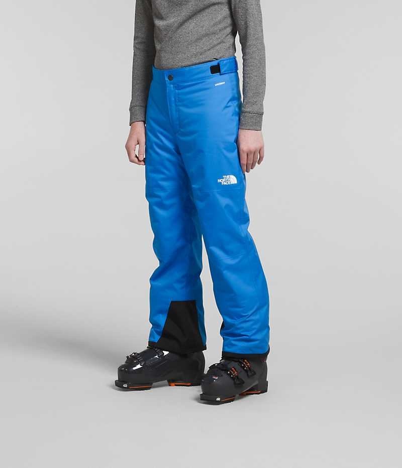 Boys' The North Face Freedom Insulated Pants Blue | CANADA WRBUCE