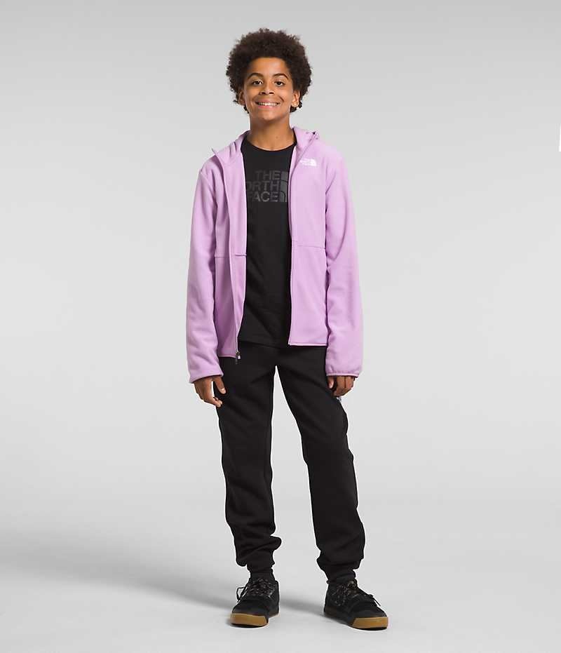 Boys\' The North Face Glacier Full-Zip Hooded Fleece Jacket Lavender | OTTAWA TKEQIF