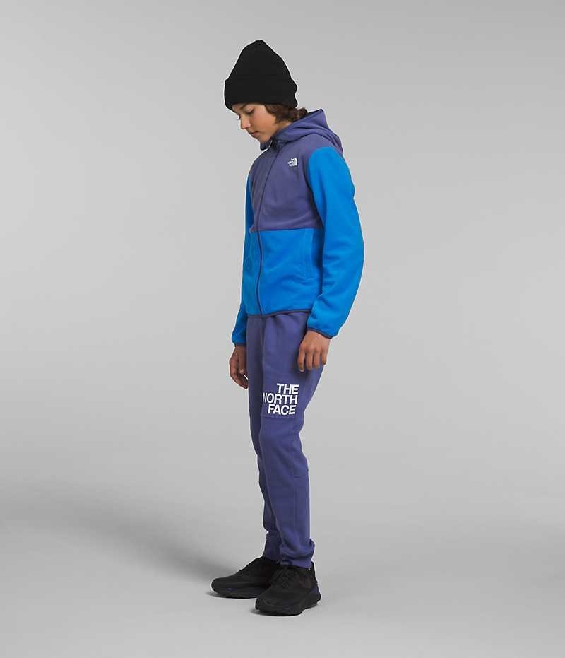 Boys' The North Face Glacier Full-Zip Hooded Fleece Jacket Blue | OTTAWA AYUGIH