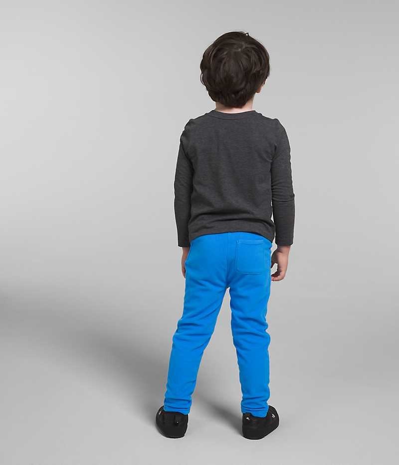 Boys' The North Face Glacier Pants Blue | TORONTO JGFYNI