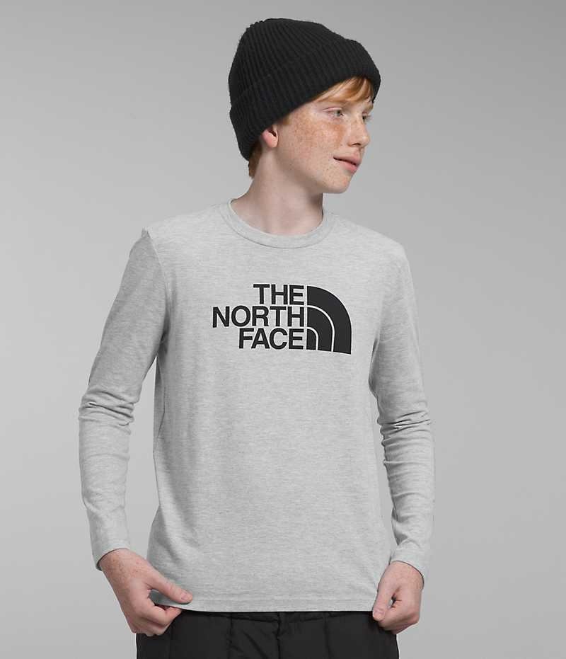 Boys\' The North Face Long Sleeve Graphic T-Shirt Light Grey | CANADA QMYXRL