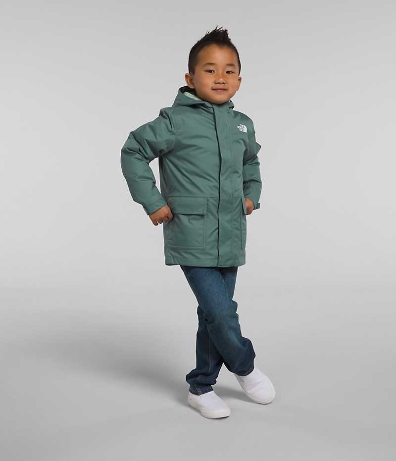 Boys\' The North Face North Triclimate® Down Jacket Green | TORONTO SNKFLR