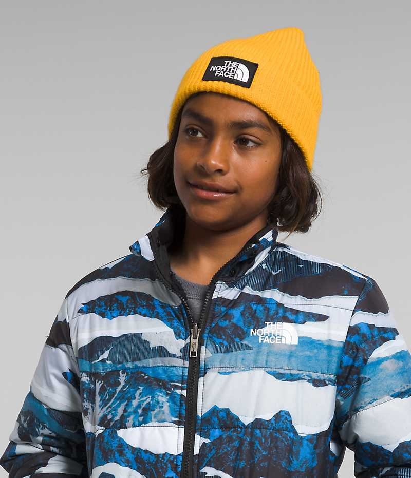 Boys' The North Face Reversible Mt Chimbo Full-Zip Hooded Fleece Jacket Blue | CANADA KUPXRW