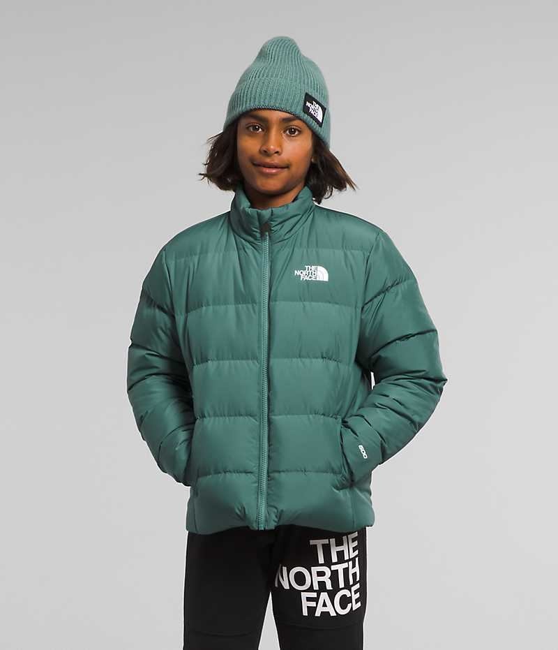 Boys\' The North Face Reversible North Down Jacket Green | OTTAWA VHBKMI