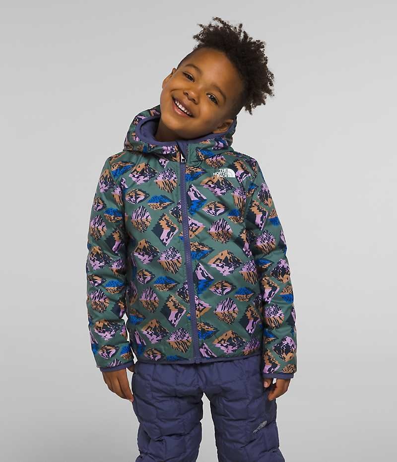 Boys' The North Face Reversible ThermoBall™ Hooded Down Jacket Blue | OTTAWA WAMREI