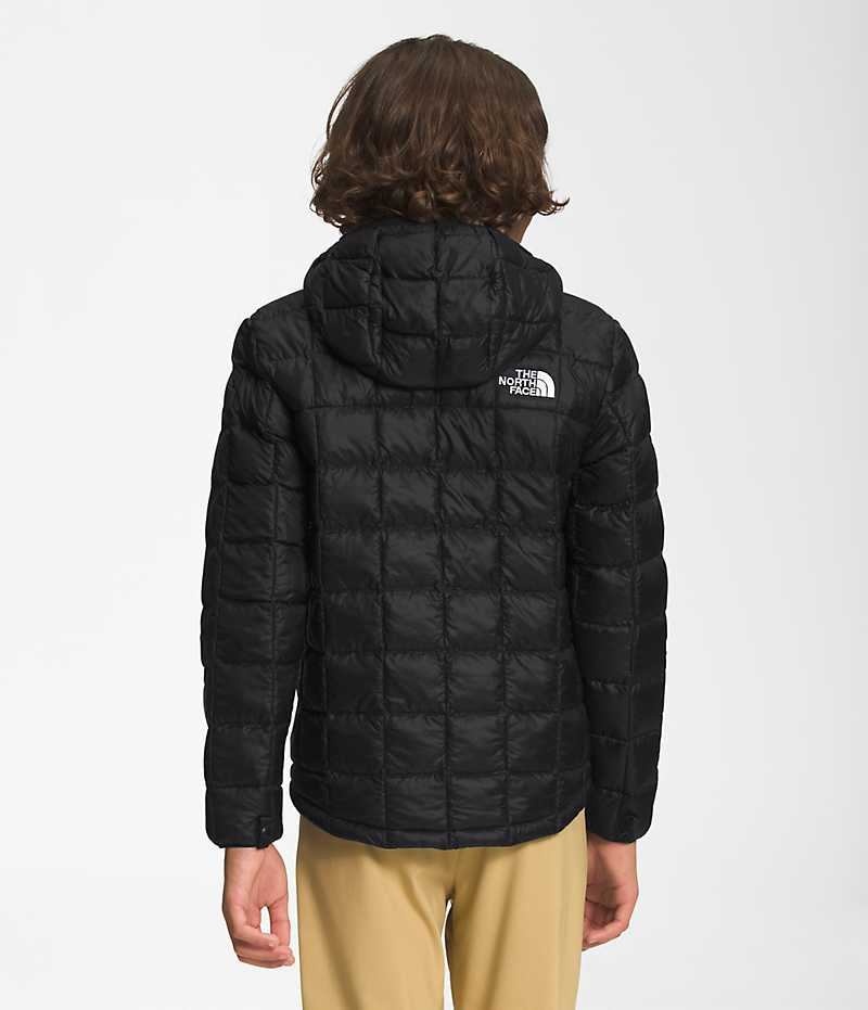 Boys' The North Face ThermoBall™ Hooded Down Jacket Black | TORONTO MHDUSC