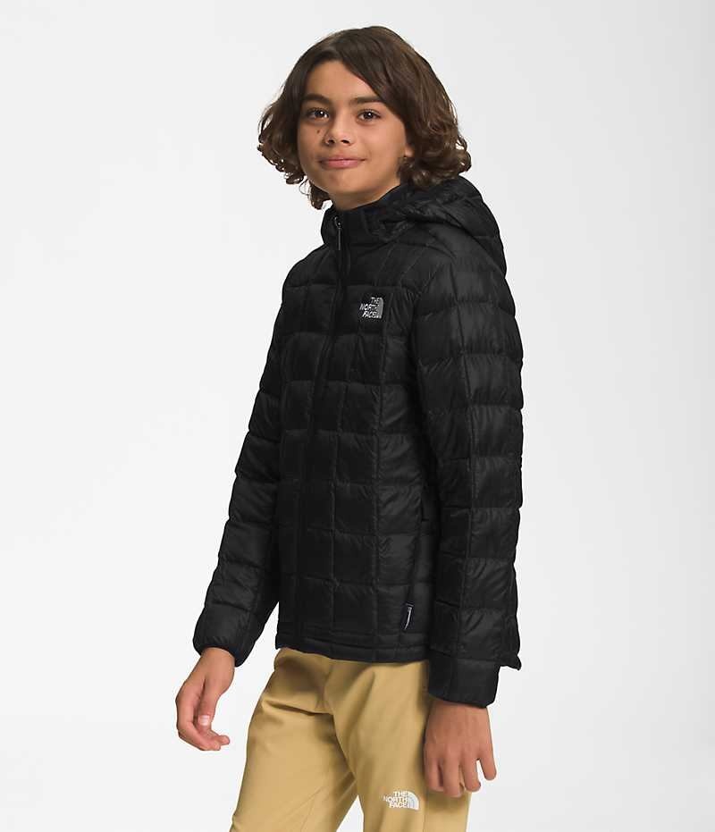 Boys' The North Face ThermoBall™ Hooded Down Jacket Black | TORONTO MHDUSC